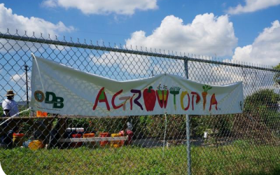 Agrotopia in Gert Town, New Orleans LA